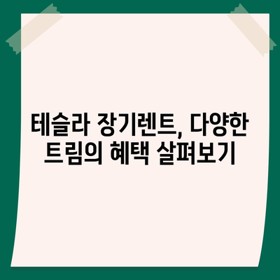 테슬라 장기렌트, 모든 트림에서 저렴한 조건 제공