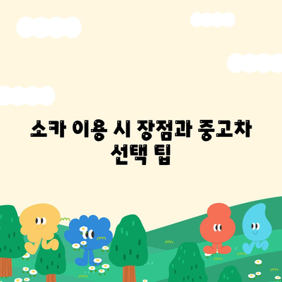 대구시 군위군 소보면 렌트카 가격비교 | 리스 | 장기대여 | 1일비용 | 비용 | 소카 | 중고 | 신차 | 1박2일 2024후기