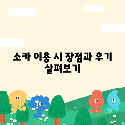 광주시 서구 치평동 렌트카 가격비교 | 리스 | 장기대여 | 1일비용 | 비용 | 소카 | 중고 | 신차 | 1박2일 2024후기