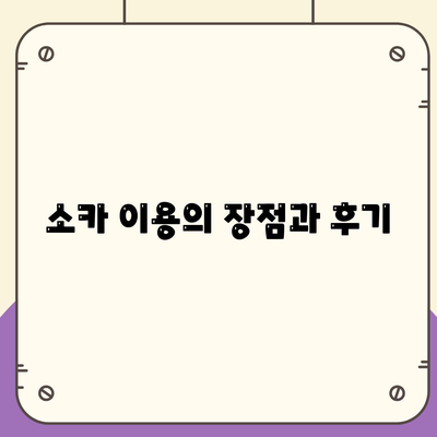 부산시 동구 수정1동 렌트카 가격비교 | 리스 | 장기대여 | 1일비용 | 비용 | 소카 | 중고 | 신차 | 1박2일 2024후기