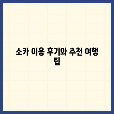 대구시 동구 효목1동 렌트카 가격비교 | 리스 | 장기대여 | 1일비용 | 비용 | 소카 | 중고 | 신차 | 1박2일 2024후기