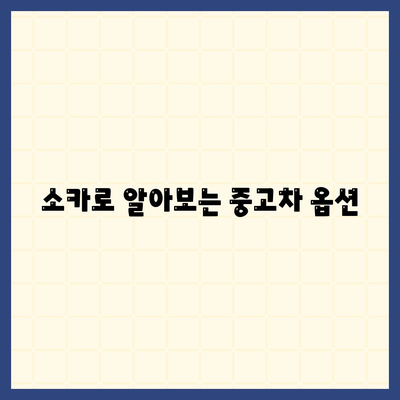 대구시 동구 혁신동 렌트카 가격비교 | 리스 | 장기대여 | 1일비용 | 비용 | 소카 | 중고 | 신차 | 1박2일 2024후기