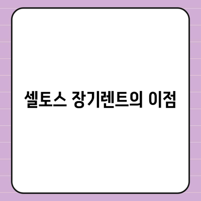 셀토스 장기렌트 | 필수적인 선택