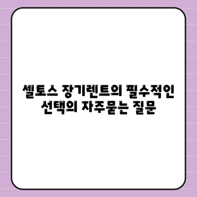 셀토스 장기렌트의 필수적인 선택