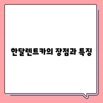 월렌트 상품 완벽 가이드 | 한달렌트카를 똑똑하게 이용하기