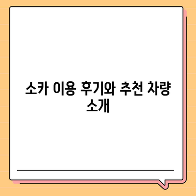 대전시 대덕구 덕암동 렌트카 가격비교 | 리스 | 장기대여 | 1일비용 | 비용 | 소카 | 중고 | 신차 | 1박2일 2024후기