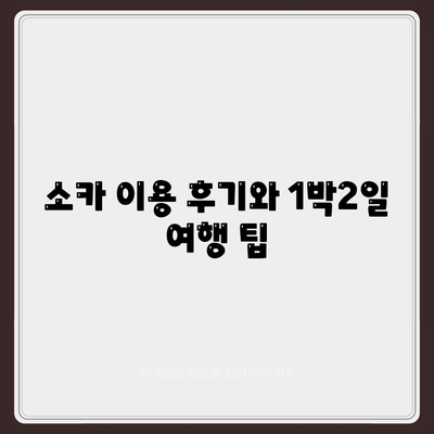 경기도 구리시 교문2동 렌트카 가격비교 | 리스 | 장기대여 | 1일비용 | 비용 | 소카 | 중고 | 신차 | 1박2일 2024후기