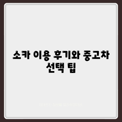 충청남도 청양군 목면 렌트카 가격비교 | 리스 | 장기대여 | 1일비용 | 비용 | 소카 | 중고 | 신차 | 1박2일 2024후기