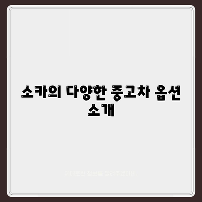 광주시 남구 월산동 렌트카 가격비교 | 리스 | 장기대여 | 1일비용 | 비용 | 소카 | 중고 | 신차 | 1박2일 2024후기