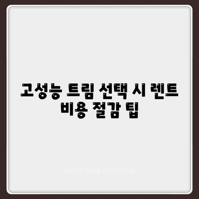 테슬라 장기렌트 리스 모델 3, Y, S 고성능 트림 저렴한 조건으로