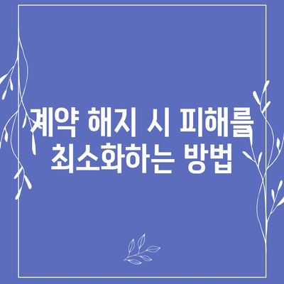 리스와 렌트 피해 줄이는 방법