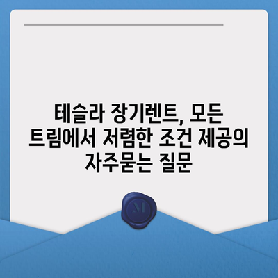 테슬라 장기렌트, 모든 트림에서 저렴한 조건 제공