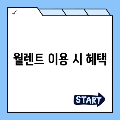 소나타 DN8 디엣지 월렌트 소개