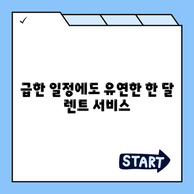 한달렌트카렌트 | 1개월 렌트의 매력