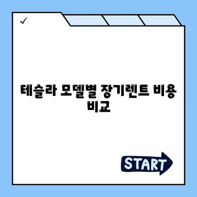 테슬라의 저렴한 조건으로 장기렌트 가능한 모델