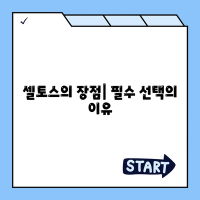 필수 셀토스 장기렌트 | 타협 없는 선택