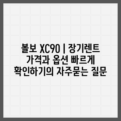 볼보 XC90 | 장기렌트 가격과 옵션 빠르게 확인하기