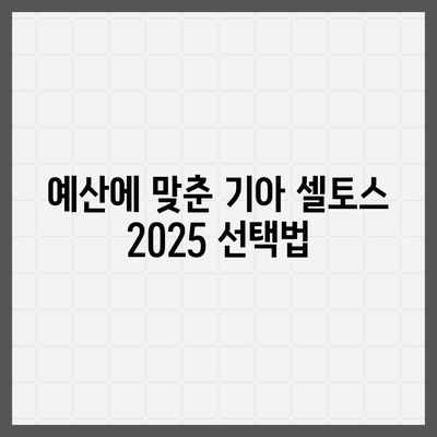 기아 셀토스 2025 장기렌트 가성비 챙기는 방법