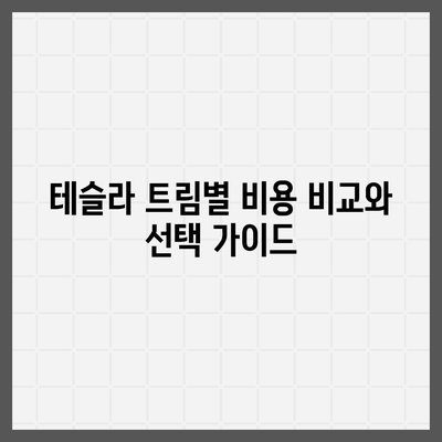 테슬라 장기렌트, 모든 트림에서 저렴한 조건 제공