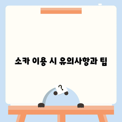 강원도 정선군 신동읍 렌트카 가격비교 | 리스 | 장기대여 | 1일비용 | 비용 | 소카 | 중고 | 신차 | 1박2일 2024후기