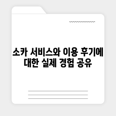 경기도 안성시 삼죽면 렌트카 가격비교 | 리스 | 장기대여 | 1일비용 | 비용 | 소카 | 중고 | 신차 | 1박2일 2024후기