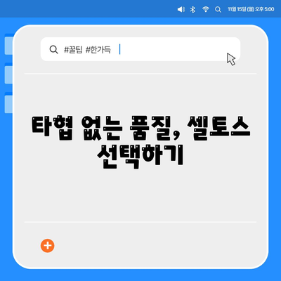 필수 셀토스 장기렌트 | 타협 없는 선택