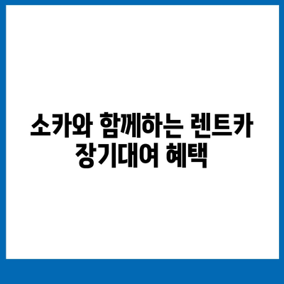 광주시 북구 중흥2동 렌트카 가격비교 | 리스 | 장기대여 | 1일비용 | 비용 | 소카 | 중고 | 신차 | 1박2일 2024후기