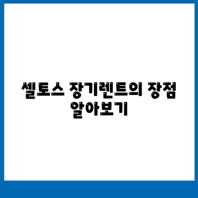 셀토스 장기렌트 | 가성비를 챙기는 방법