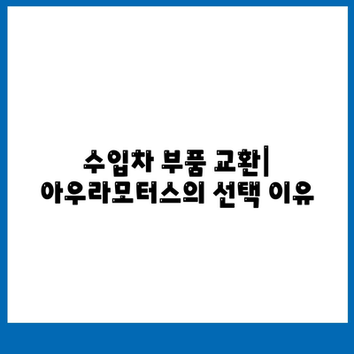 수입차 수리 전문 공업사 아우라모터스