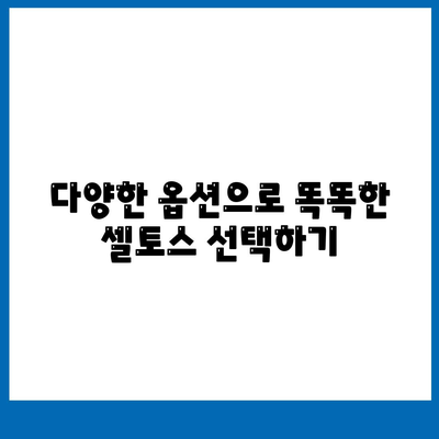 셀토스 장기렌트의 필수적인 선택