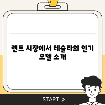 테슬라 장기 렌트 시장 경쟁력 및 모델별 가격 비교