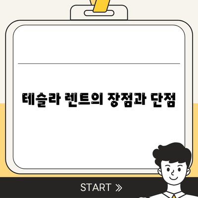 테슬라 장기 렌트 시장 경쟁력 및 모델별 가격 비교