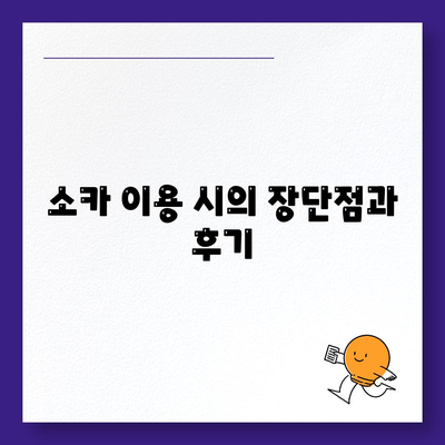 경기도 포천시 내촌면 렌트카 가격비교 | 리스 | 장기대여 | 1일비용 | 비용 | 소카 | 중고 | 신차 | 1박2일 2024후기