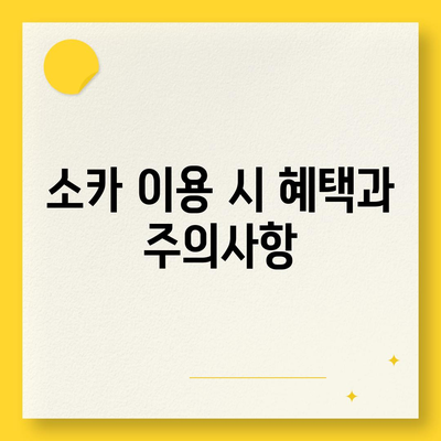 부산시 영도구 동삼3동 렌트카 가격비교 | 리스 | 장기대여 | 1일비용 | 비용 | 소카 | 중고 | 신차 | 1박2일 2024후기