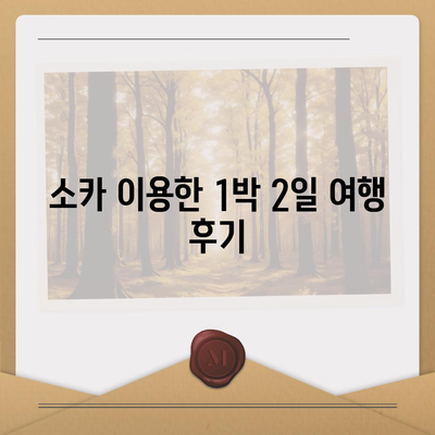 충청북도 보은군 마로면 렌트카 가격비교 | 리스 | 장기대여 | 1일비용 | 비용 | 소카 | 중고 | 신차 | 1박2일 2024후기