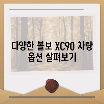 볼보 XC90 | 장기렌트 가격과 옵션 빠르게 확인하기