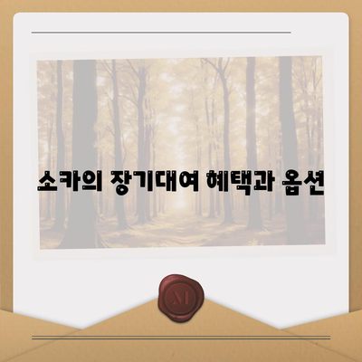 대구시 북구 고성동 렌트카 가격비교 | 리스 | 장기대여 | 1일비용 | 비용 | 소카 | 중고 | 신차 | 1박2일 2024후기