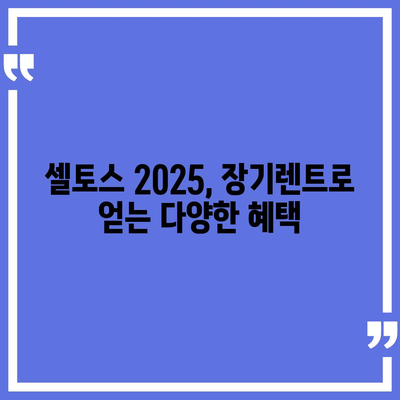 기아 셀토스 2025 장기렌트 가성비 극대화