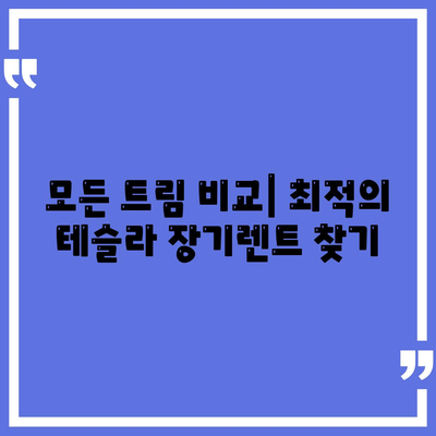 테슬라 장기렌트 리스 모델 3 Y S 모든 트림 저렴한 조건으로