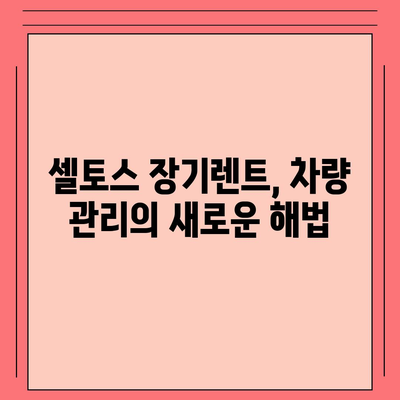 셀토스 장기렌트 | 필수적인 선택