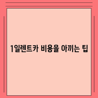 부산시 부산진구 개금2동 렌트카 가격비교 | 리스 | 장기대여 | 1일비용 | 비용 | 소카 | 중고 | 신차 | 1박2일 2024후기