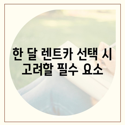 한 달 렌트카 | 완벽 가이드