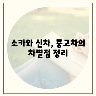 강원도 동해시 망상동 렌트카 가격비교 | 리스 | 장기대여 | 1일비용 | 비용 | 소카 | 중고 | 신차 | 1박2일 2024후기