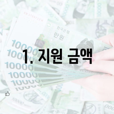 1. 지원 금액