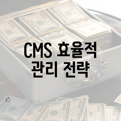 CMS 효율적 관리 전략