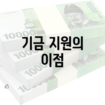 기금 지원의 이점