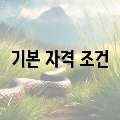 기본 자격 조건