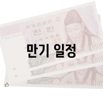 만기 일정