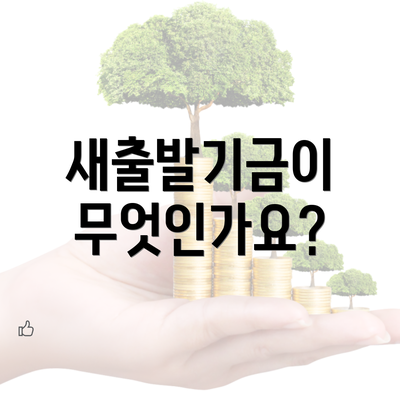 새출발기금이 무엇인가요?