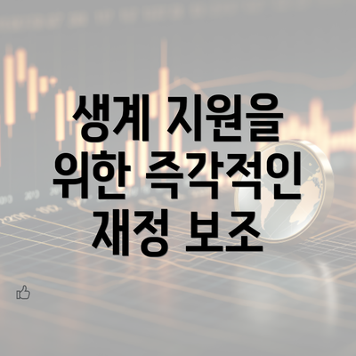 생계 지원을 위한 즉각적인 재정 보조